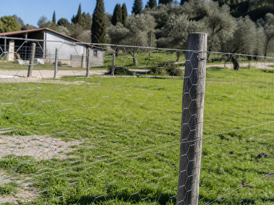 Quanto Dura una Rete Zincata da Esterno?