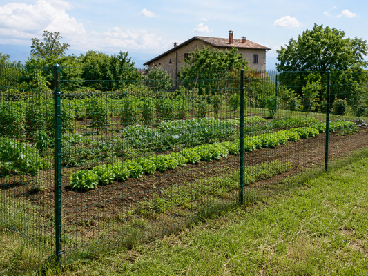 Verdure dell’orto protette con recinzione in rete verde e paletti