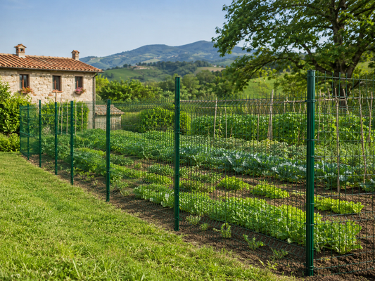 Orto appena trapiantato protetto con rete verde e paletti nel terreno
