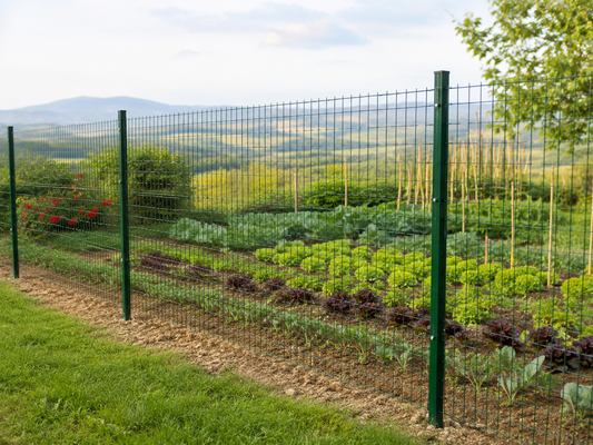 Orto familiare protetto con rete verde e paletti direttamente nel terreno