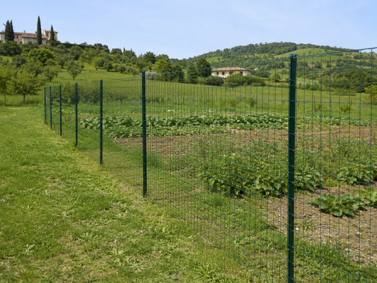 Seconda casa con giardino protetta da recinzione economica in rete metallica