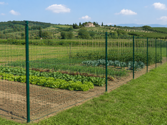 Orto protetto da rete elettrosaldata verde per impedire l’ingresso dei gatti