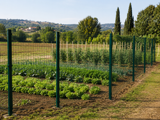 Rete verde usata per recintare un orto con base su terra ed erba