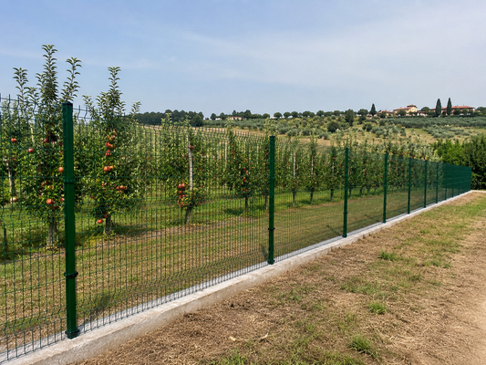 Recinzione per frutteto in campagna con rete elettrosaldata verde e paletti metallici