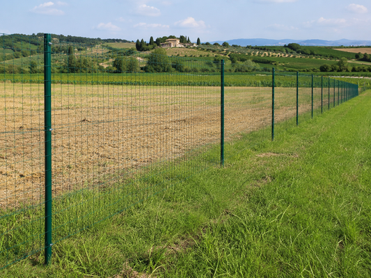 Rete metallica usata per delimitare il confine di un terreno rurale con paletti nel terreno
