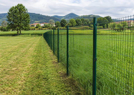 Confine di proprietà rurale delimitato con rete metallica e paletti direttamente nel terreno