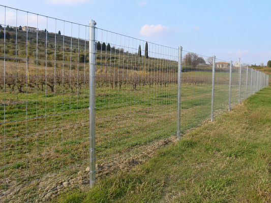 Rete Elettrosaldata: Cos’è, a Cosa Serve e Quando Sceglierla