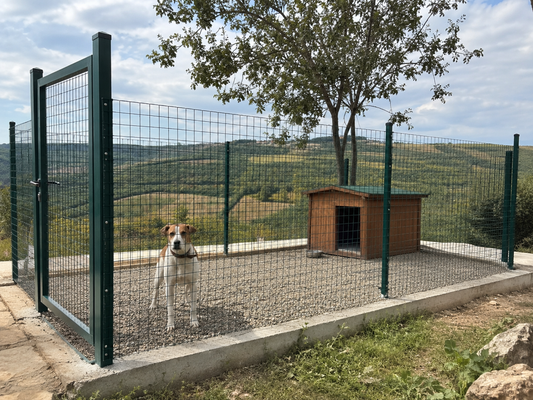 Rete Elettrosaldata per Cani: Quale Scegliere per un Recinto Sicuro