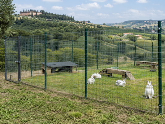Rete Elettrosaldata per Conigli: È la Scelta Giusta?