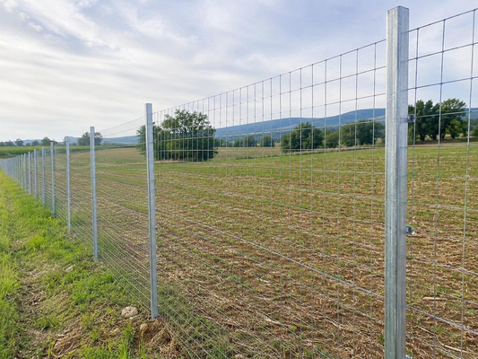 Rete per Recinzione Terreno Agricolo: Quale Scegliere