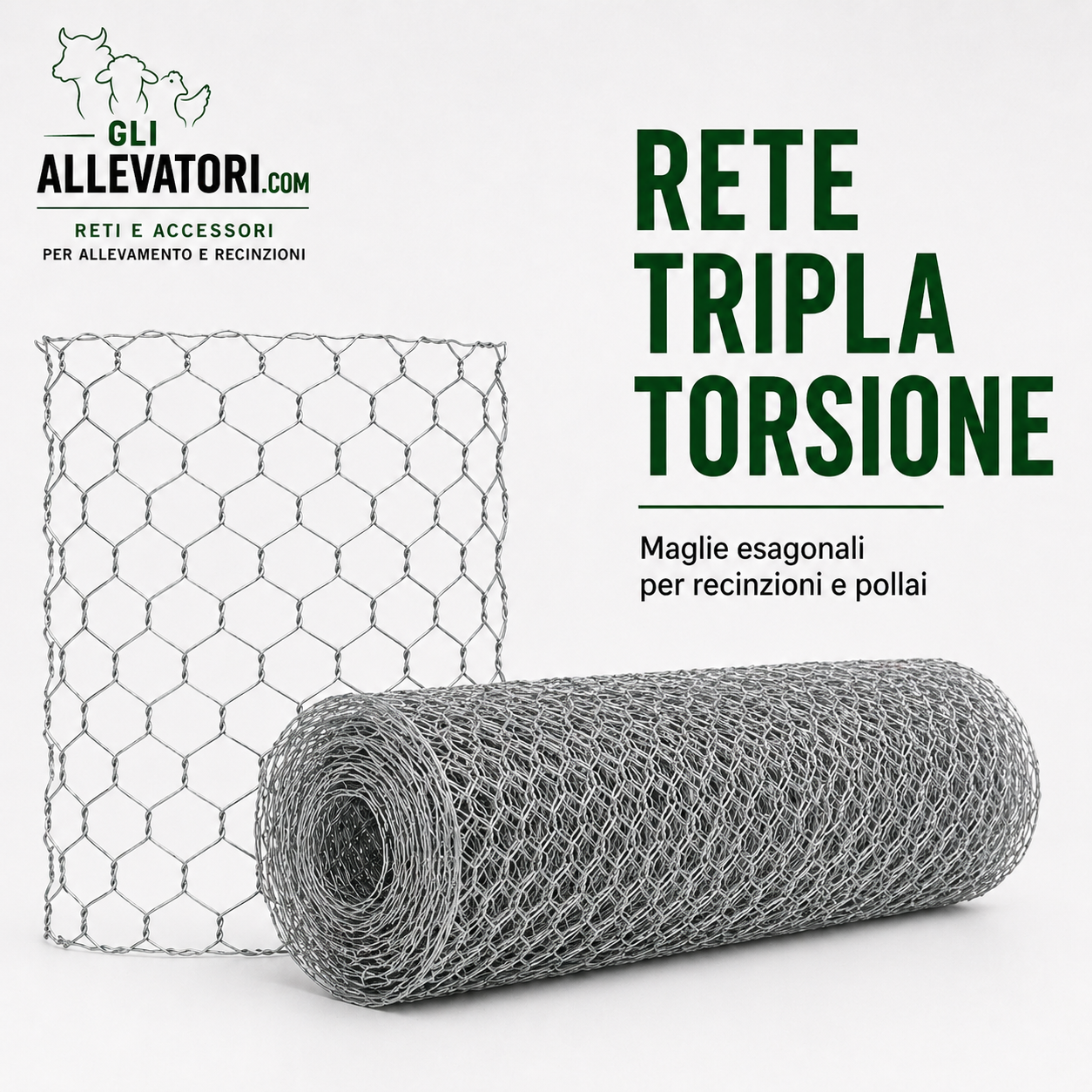 Rete Tripla Torsione