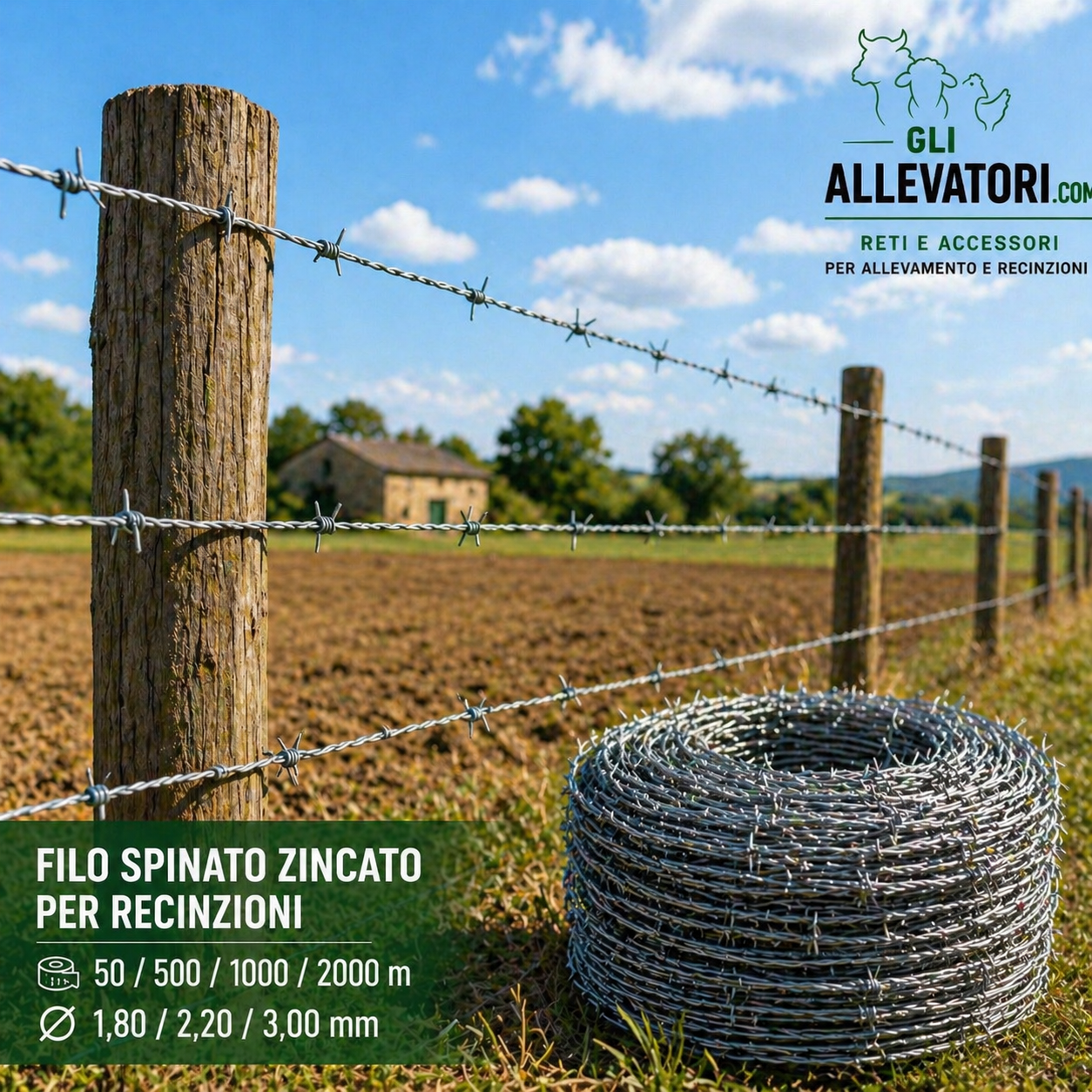 Filo Spinato Zincato per Recinzioni