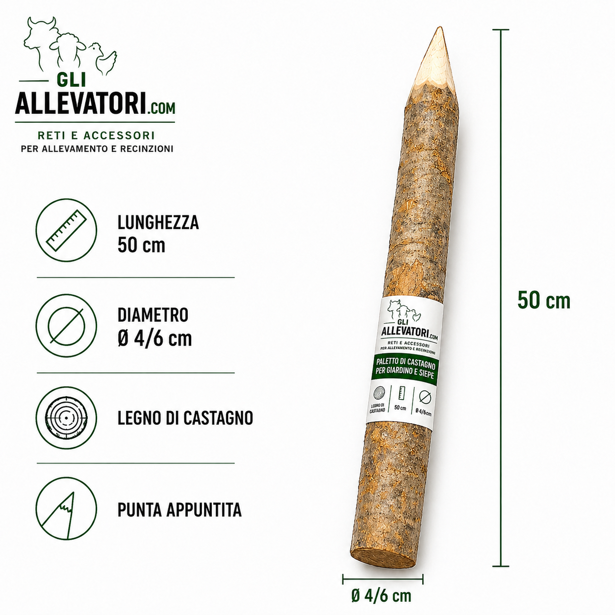Paletto di Castagno per Giardino Siepe 50 cm Ø4/6 cm