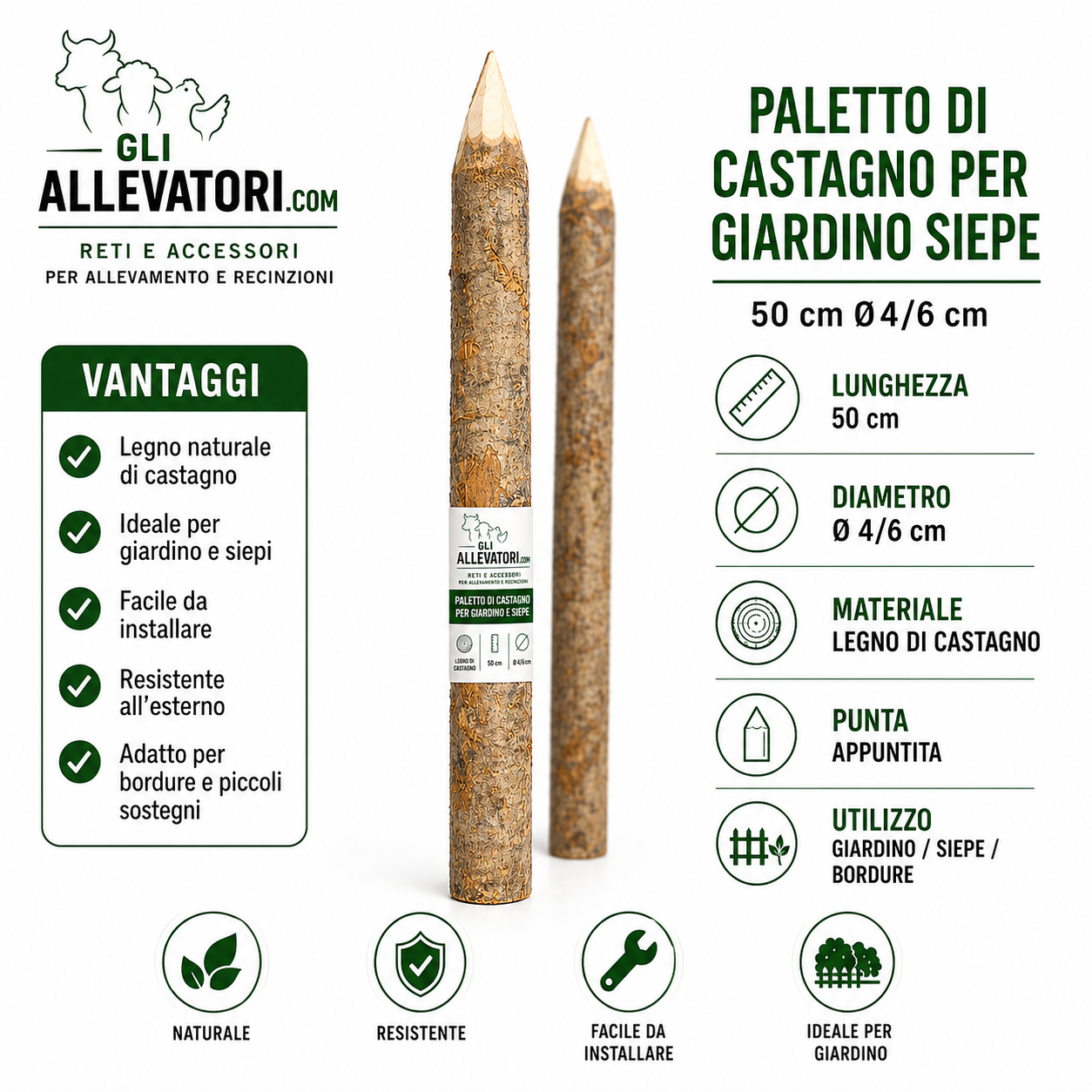 Paletto di Castagno per Giardino Siepe 50 cm Ø4/6 cm