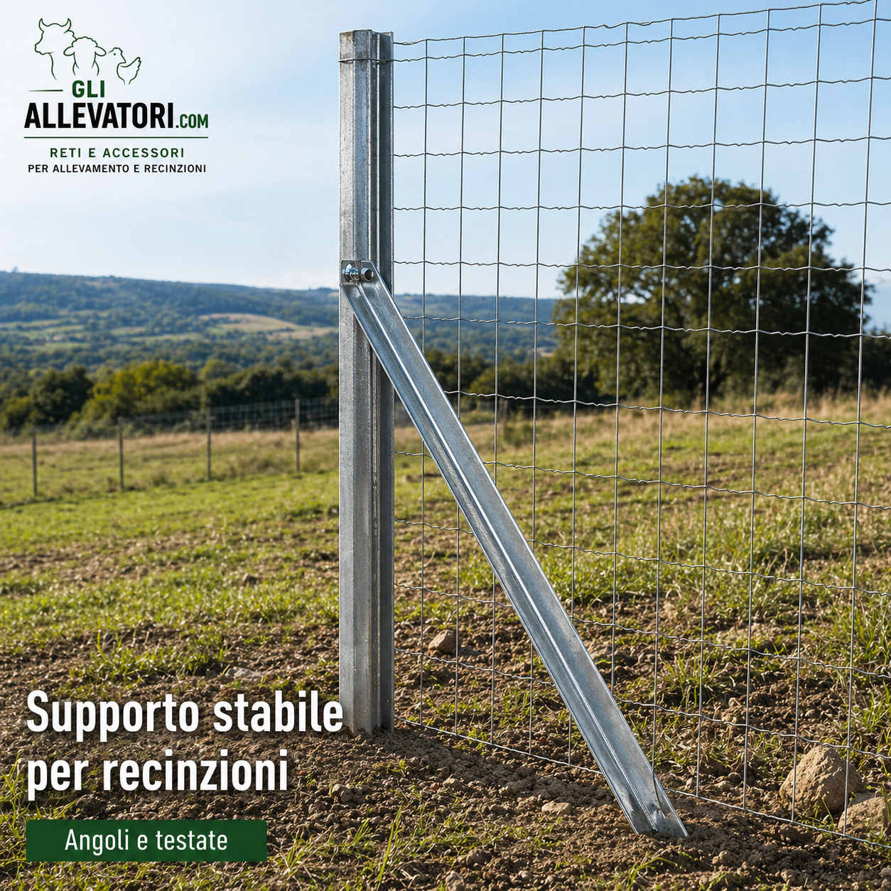Saetta U Zincata per Recinzioni